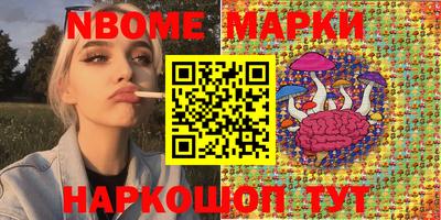 стаф Новокубанск