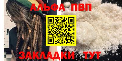 стаф Новокубанск