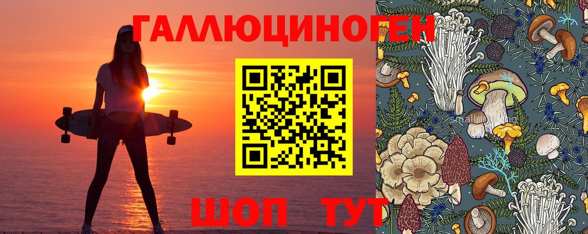 Галлюциногенные грибы Cubensis  Вход с VPN  Псилоцибиновые грибы Psilocybine cubensis  Туапсе 